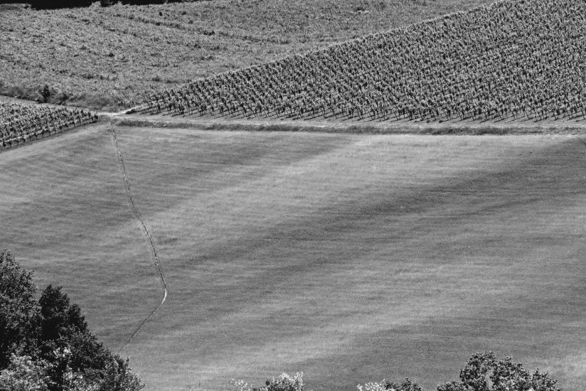 L1020017_sw
