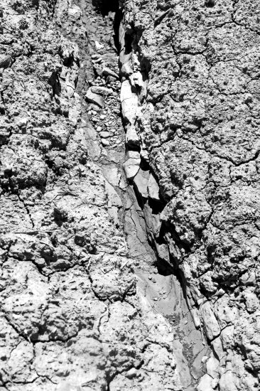 L1030028_sw