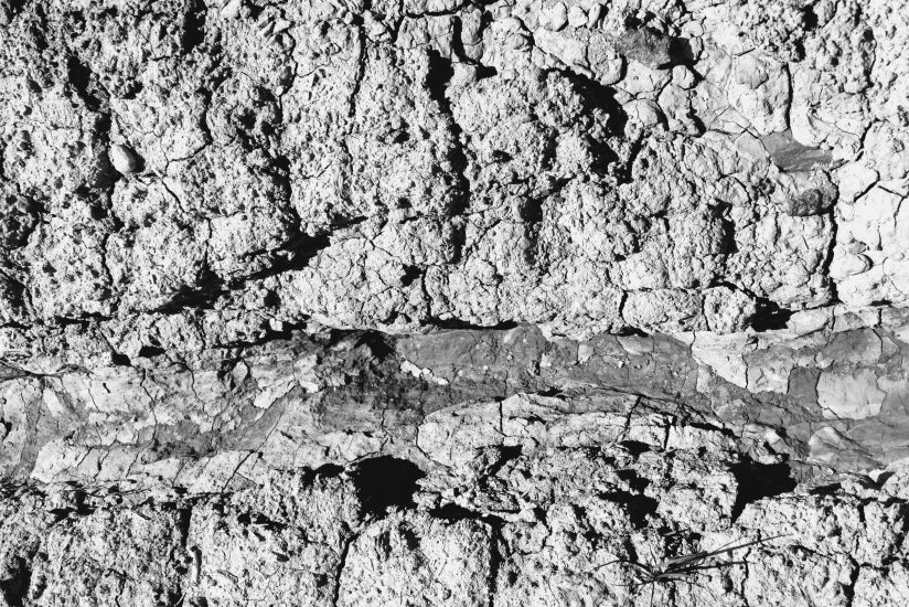 L1030029_sw
