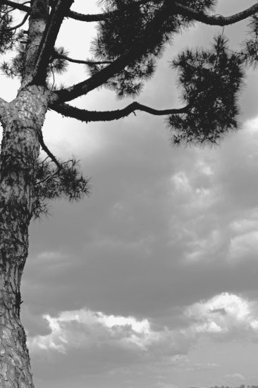 L1060330_sw
