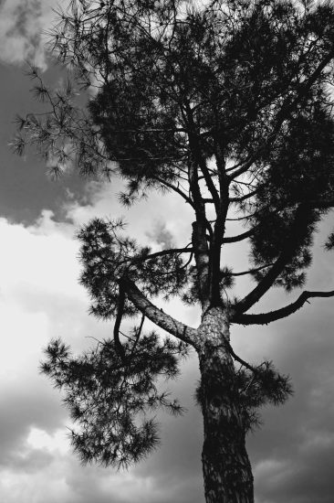 L1060331_ssw