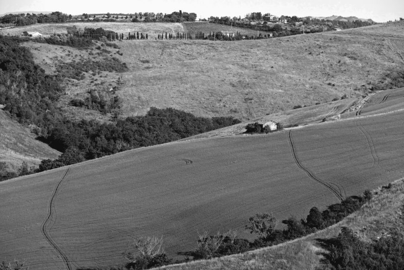 L9990821_sw