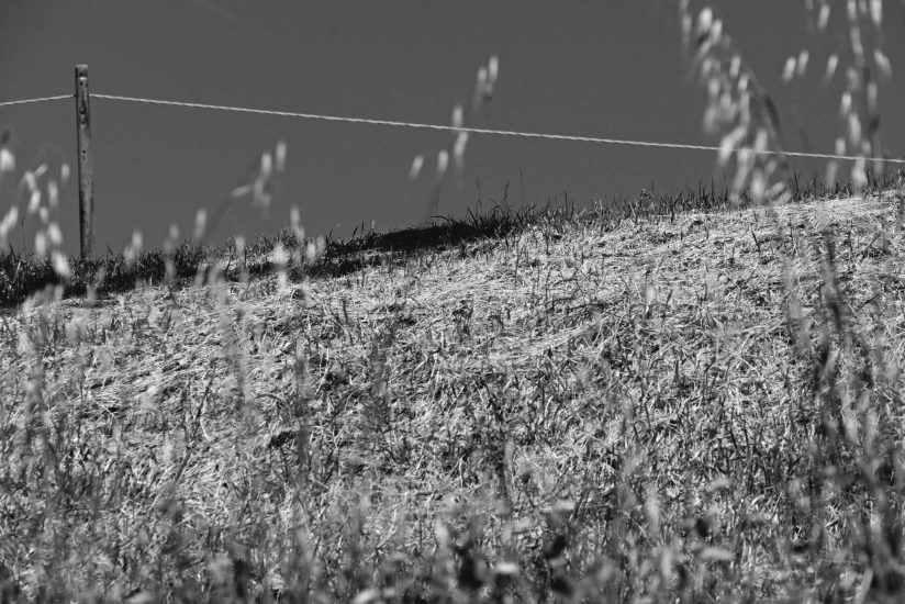L9990867_sw