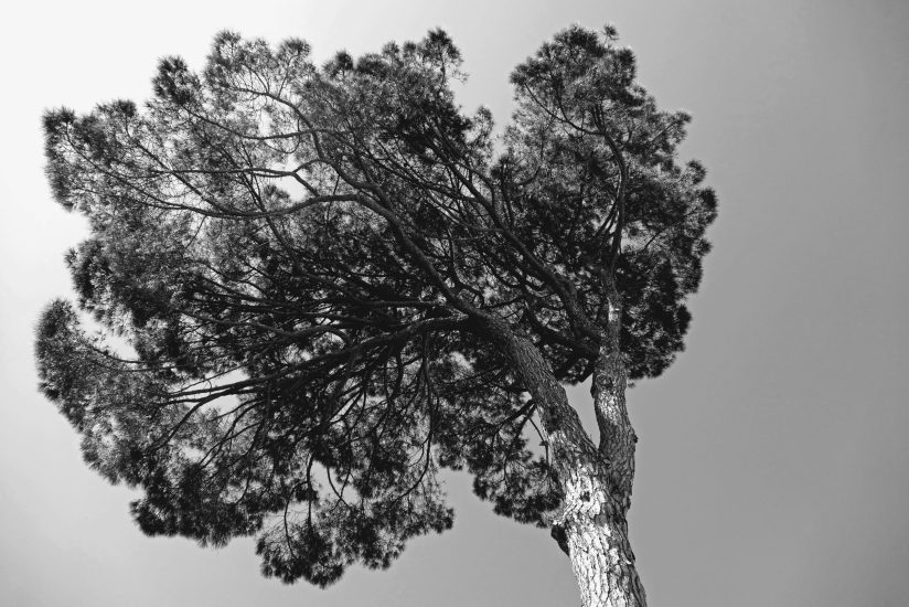 L9990903_sw
