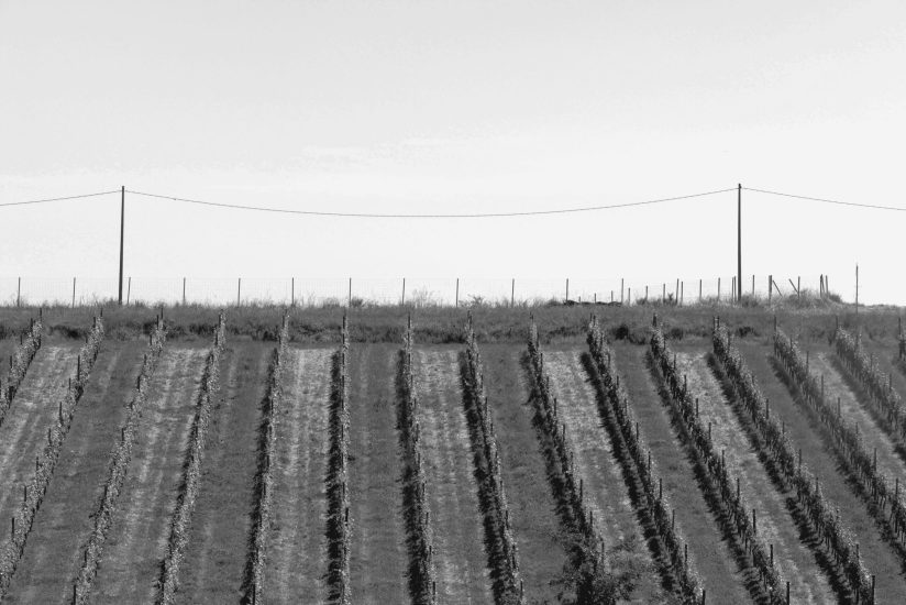 L9990942_sw
